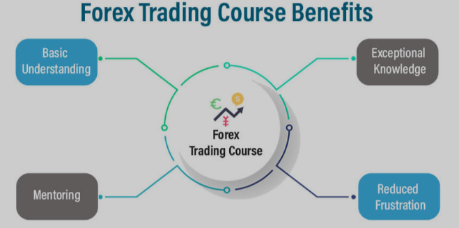 Forex trading course benefits