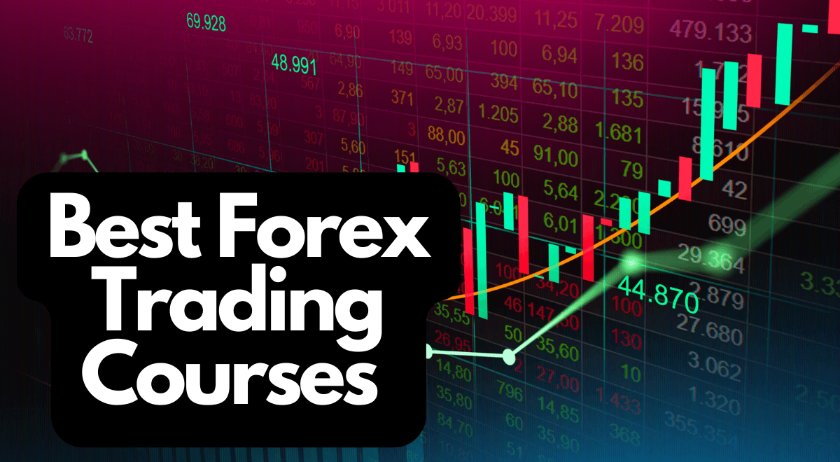 best forex trading courses