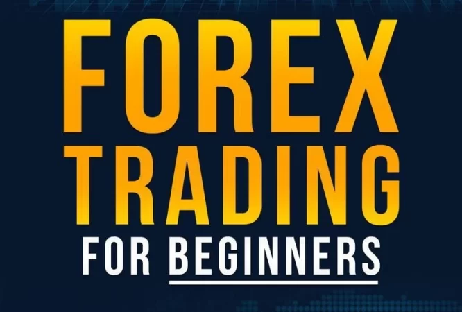 forex-trading-beginners-india